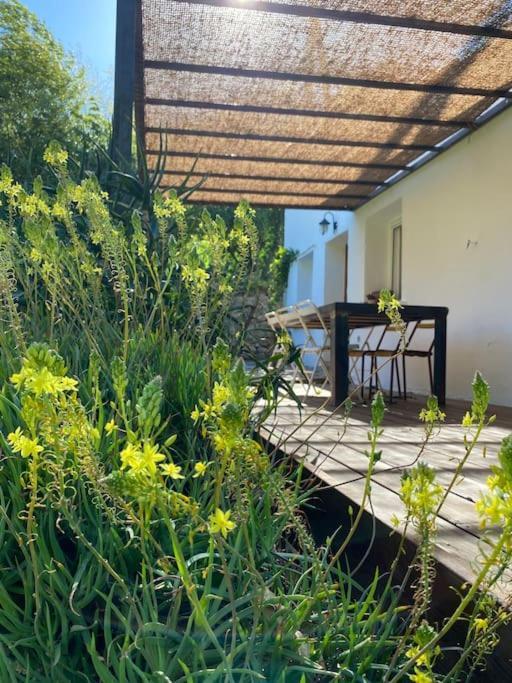 La Maison De Juliette Ceret Exterior photo